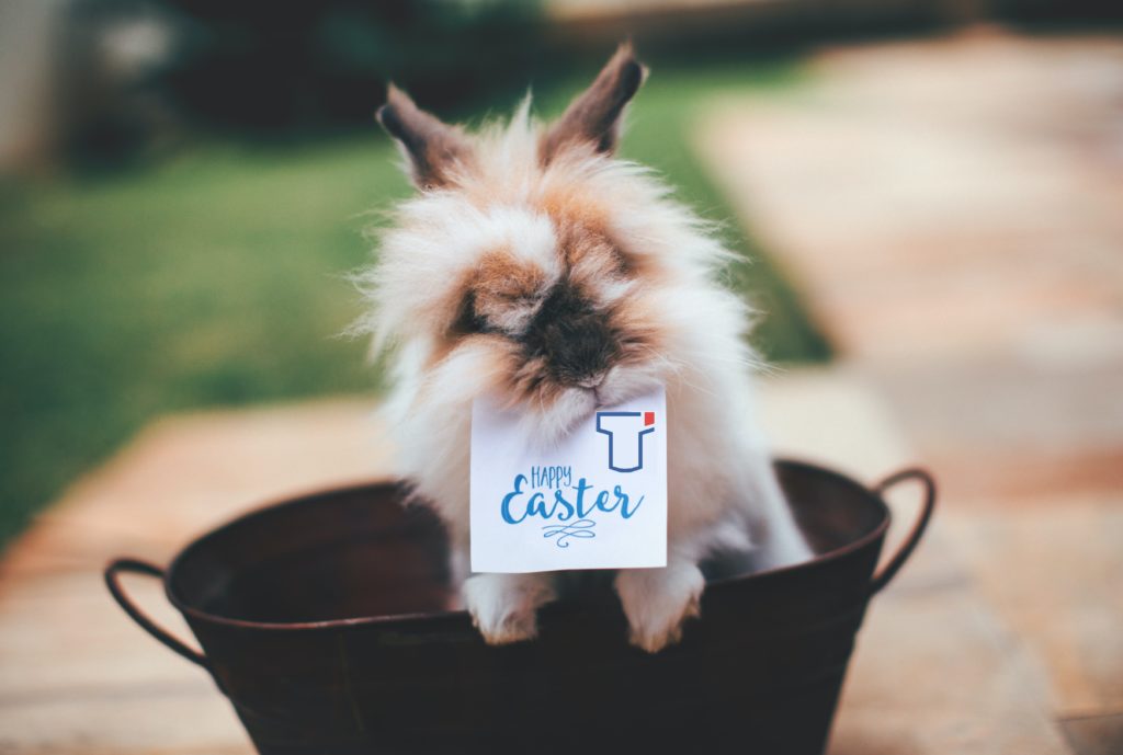 Ostern2 1 Ostern2 1